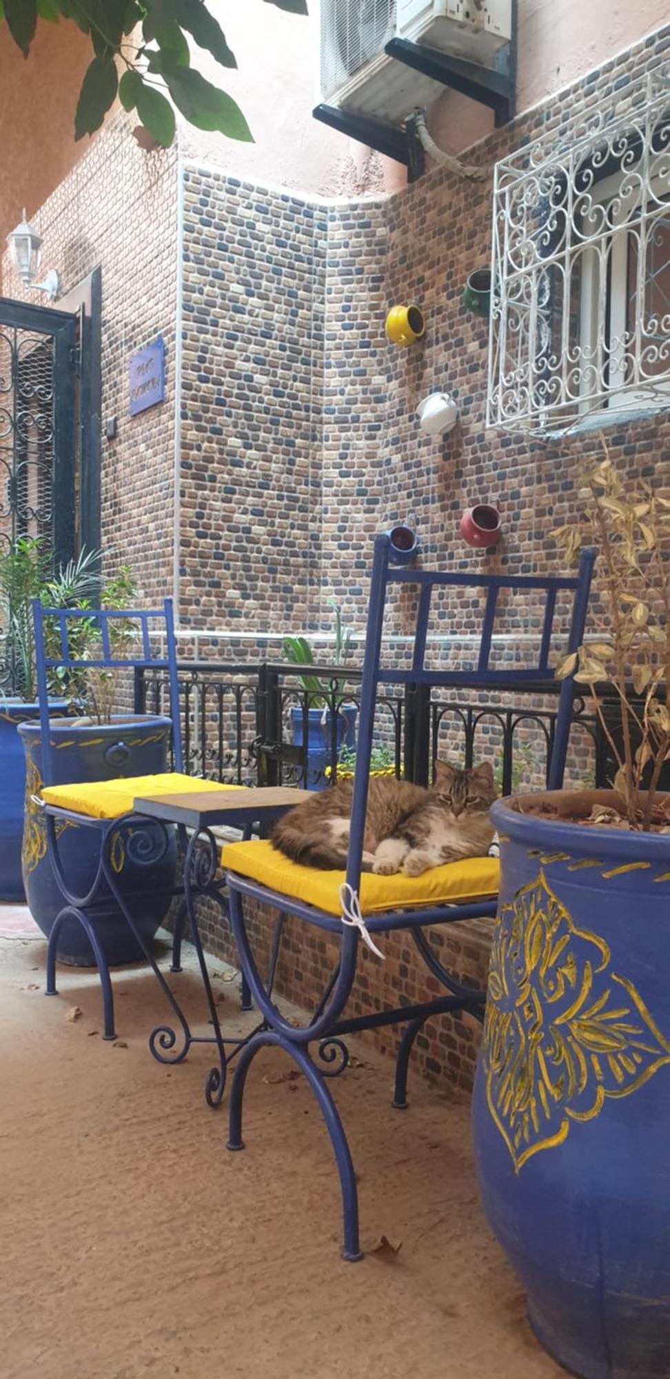 Riad Ramona Lqariya Seyaheya Marrakesh Extérieur photo